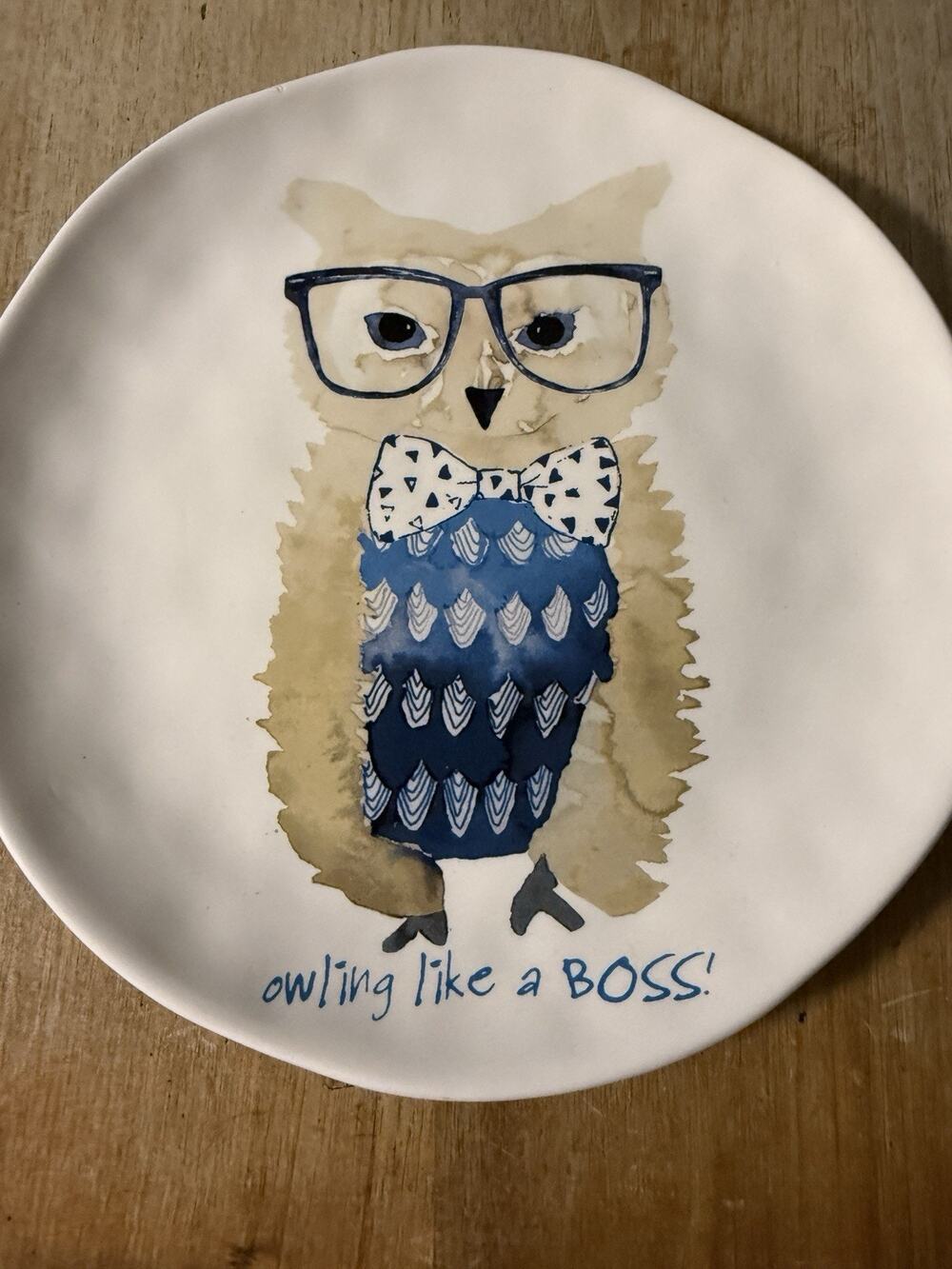 Pier 1 Owling Like a Boss Owl Salad Plate 9 Inch Decorative Serving Dinnerware